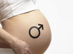 备孕期哪些因素决定着胎儿的性别